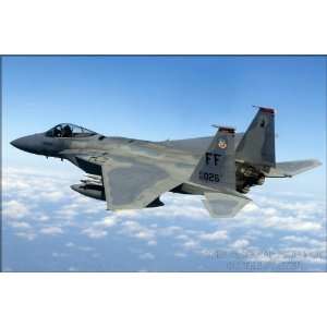  F 15 Eagle, First Fighter Wing   24x36 Poster 