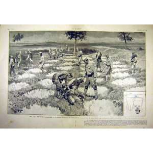  Trous De Loup War Russian Liao Yang French Print 1904 