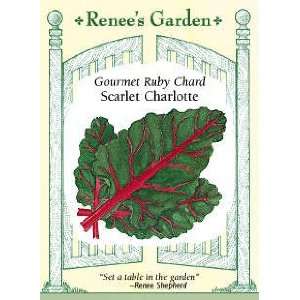  Chard   Scarlet Charlotte Seeds Patio, Lawn & Garden