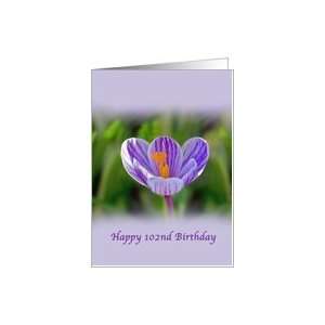  102nd Birthday, Religious, Crocus Flower Card Toys 