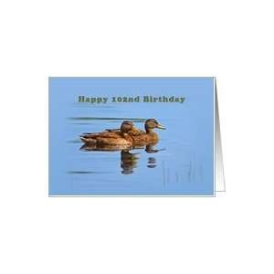 102nd Birthday Card with Two Ducks Card: Toys & Games