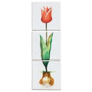  Kohler K 14200 TN 0 Fables & Flowers Decorative Field Tile 