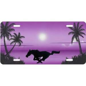    Airbrushed License Plate   Beach License Plate  #14m: Automotive