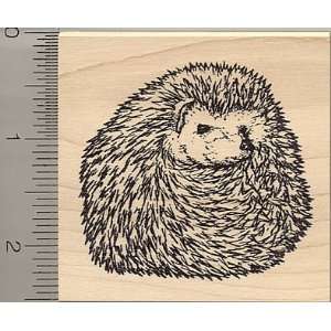  Large Rolled up Hedgehog Rubber Stamp   Wood Mounted: Arts 