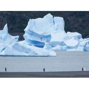  People Walking Near Floating Icebergs, Lago Gray, Torres 