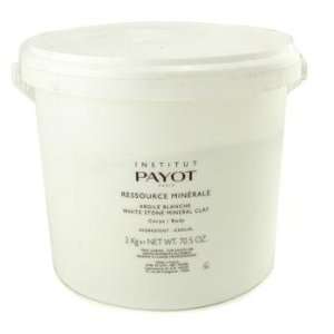  Payot Ressource Minerale Argile Verte White Stone Mineral 