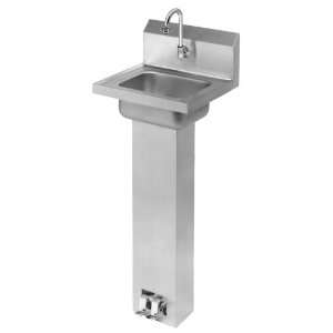  Elkay CHSP1716SACTMC WashUp Pedestal Commercial Sink: Home 