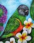 SENEGAL PARROT GICLEE of Painting Green Yellow BIRD Kristine Kasheta 