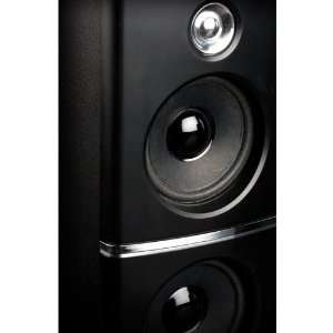   Tweeter, 15 Watts RMS 5.25 Subwoofer, Remote Control Electronics