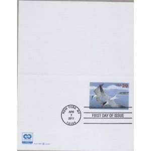   Common Terns first day us Postage Stamps Cancelation: Everything Else