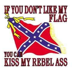 Dixie Rebel If you Dont like My Flag  