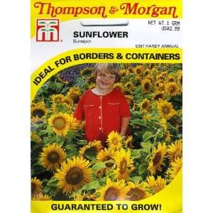  Thompson & Morgan 6397 Sunflower Sunspot Seed Packet 