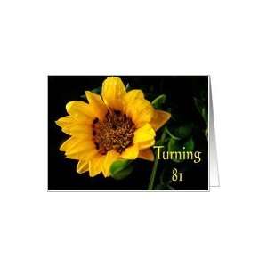  81st Birthday, yellow Gazania Card Toys & Games