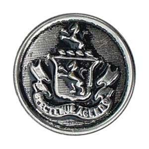 Blumenthal Lansing Slimline Buttons Series 2 Silver Crest 