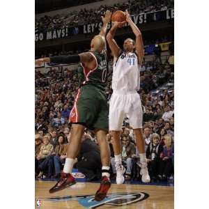   Nowitzki and Drew Gooden by Danny Bollinger, 48x72