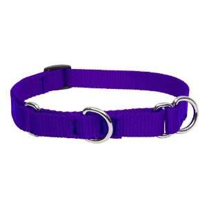  3/4 Purple 15ft Slip Style Training Leash