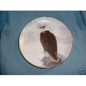   : The American Bald Eagle By Perillo Collector Plate: Everything Else