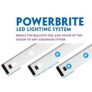  Powerbrite Led Link 4x1w 460nm Blue Actinic