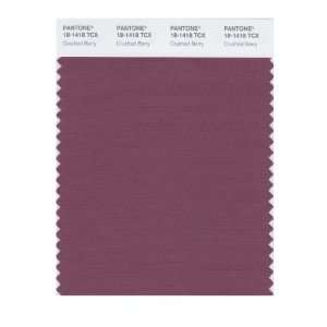  PANTONE SMART 18 1418X Color Swatch Card, Crushed Berry 