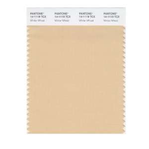   SMART 14 1119X Color Swatch Card, Winter Wheat