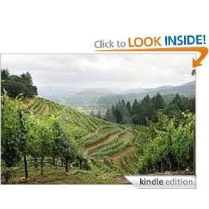 Napa Valley Wineries Brenda Van Niekerk  Kindle Store