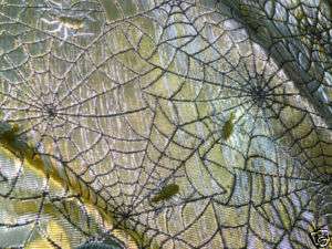 Yards 2 Sides Spider Web Farbic Metalic Gold / Black  