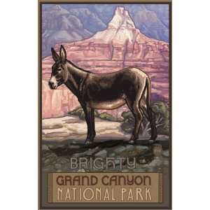  Northwest Art Mall Grand Canyon National Park Burro 