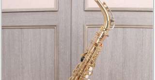 NEW ALTO SAXOPHONE Gold Plated SAX W/5 YEARS WARRANTY+Gift($39 Stand+$ 