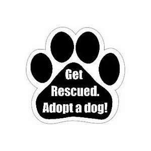 adopt a dog