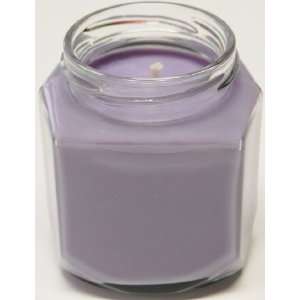   oz Oval Hex Soy Candle   Dianes Carnation   Handmade 