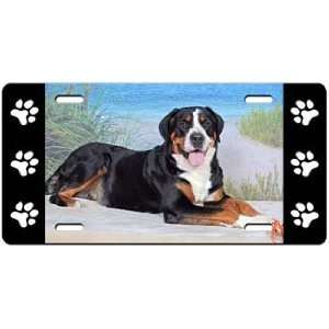  Greater Swiss Mountain Dog License Plate Sports 