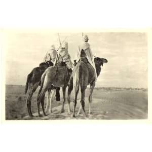   Vintage Postcard Desert Scene outside Oran Algeria 