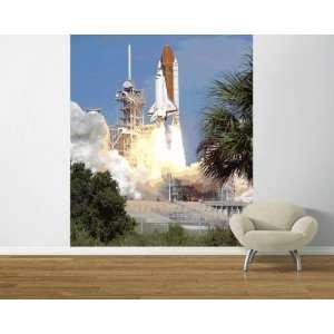 Shuttle Launch II Pre Pasted Mural