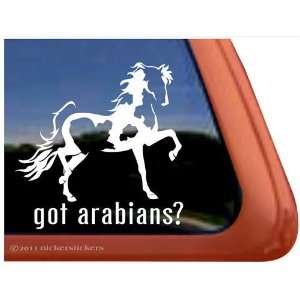  Got Arabian? Horse Trailer Vinyl Window Decal Sticker 