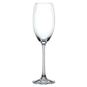  Vivendi Champagne Glass Set (Set of 4)