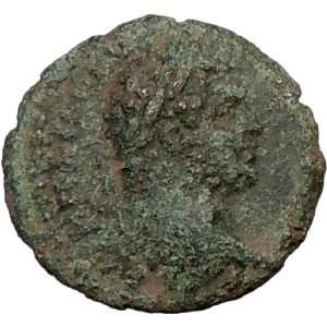   Marcianopolis in Moesia 209AD Ancient Genuine Roman Coin Nemean LION