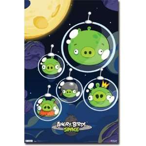  (22x34) Angry Birds Space Pigs Video Game Poster Print 