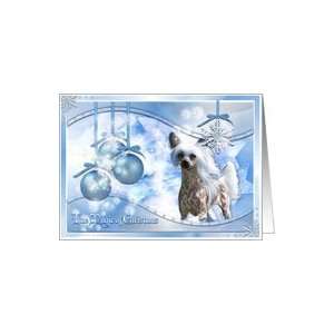  Magic of Christmas   Chinese Crested   Kahlo   Combo Card 