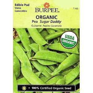    Burpee Organic Sugar Daddy Pea Seeds   1 oz: Patio, Lawn & Garden