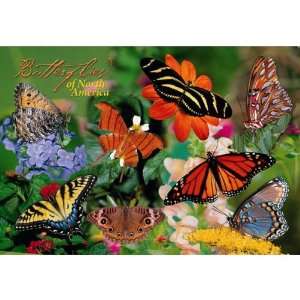 Impact Photographics Kids Puzzle Butterflies Image for Kids 3 Years 