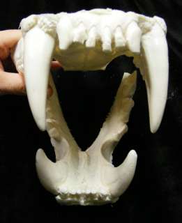   read more about the condition animals liger product type replica mold
