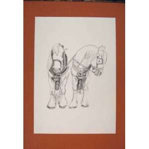   Pony Horse Shetland Fine Old Art Sketch Drawing Animal: Home & Kitchen