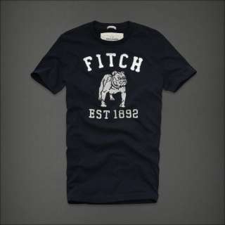 NWT Abercrombie & Fitch Men Blake Peak Graphic Tee T shirt Top  