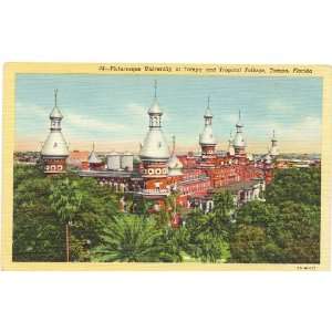1940s Vintage Postcard   View of University of Tampa   Tampa Florida