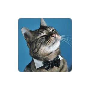 Tuxedo Bow Tie Cat Kitten Collar   Size Medium/Large  