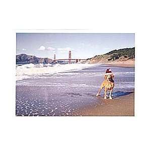  Dog at San Francisco Beach Christmas Card: Everything Else