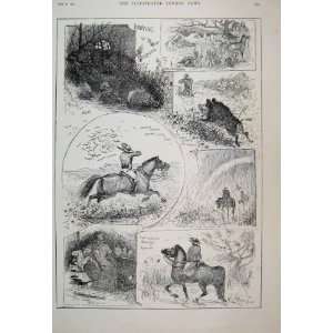   1888 Hunting Morocco Pig Shooting Plover Tusker Print