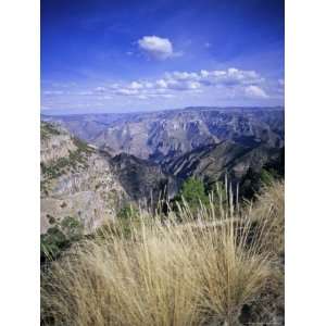  Copper Canyon, Sierra Tarahumara, Sierra Madre, Chihuahua 