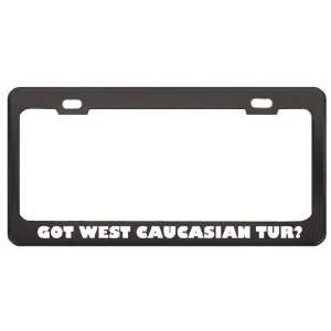 Got West Caucasian Tur? Animals Pets Black Metal License Plate Frame 