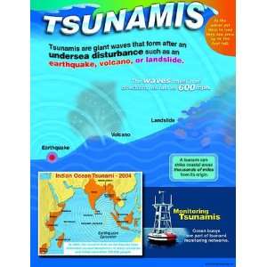 TSUNAMIS LEARNING CHART Electronics